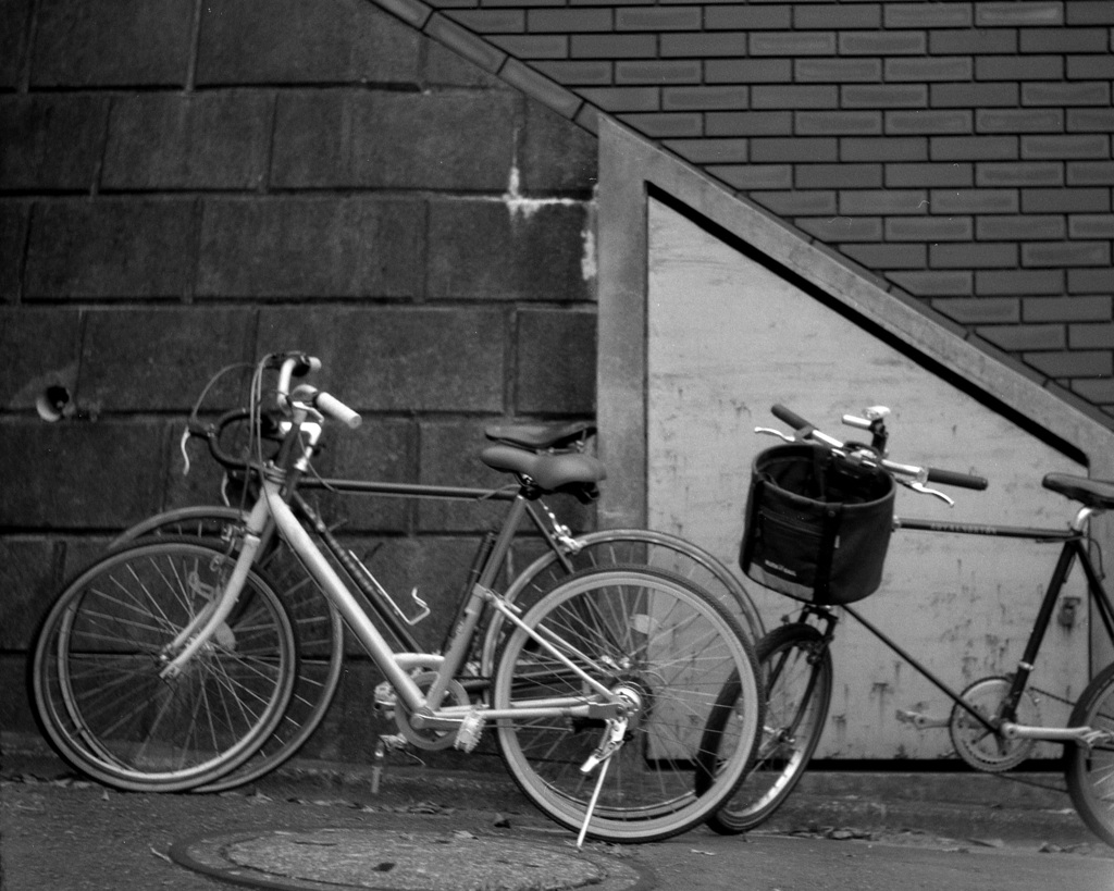 「family cycling」 (film)