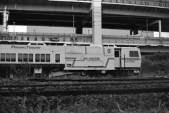 「これ，何？」 (film:HR20)