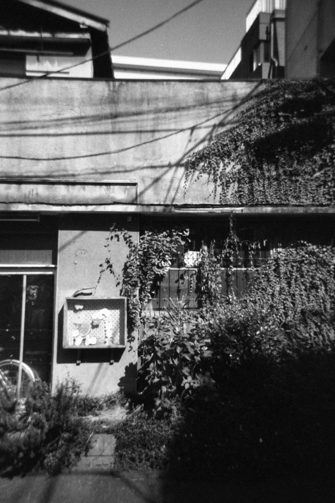 「昭和の残像」 (film)
