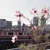 「京急東神奈川（旧仲木戸）」 (film)