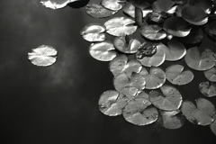 「梅雨空 ver 2」 (film:HR20)