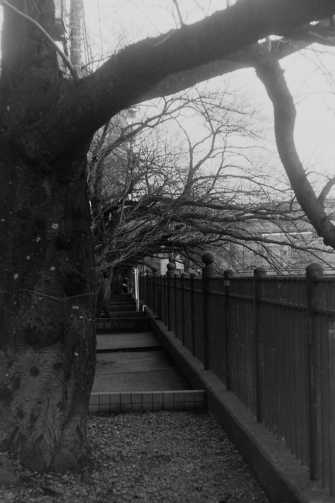 「02/02 街歩き10」 (film)