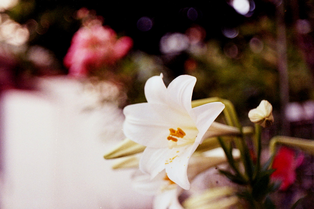 「街角flower」 (film)