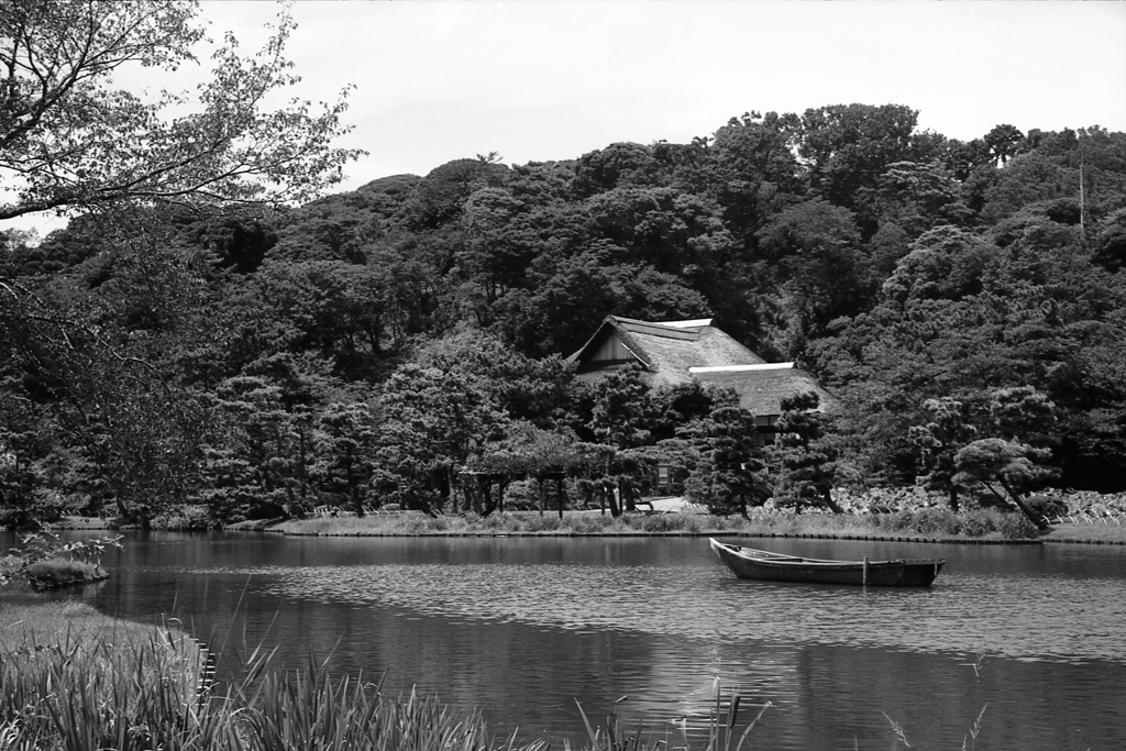 「三渓園にて」 (film:HR20)