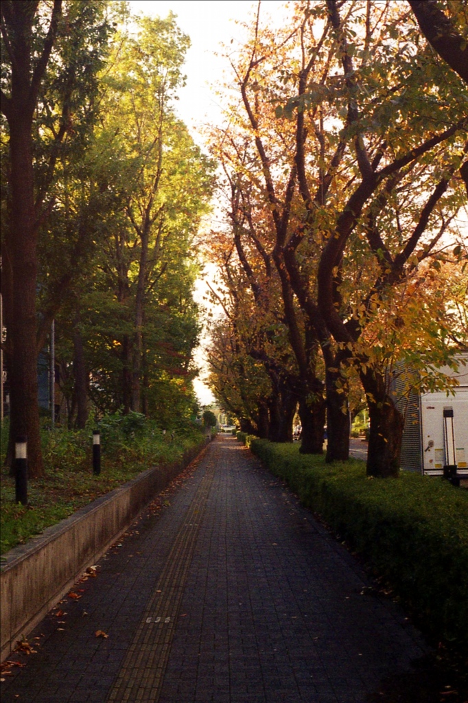 「街角カメラ04」 (film)