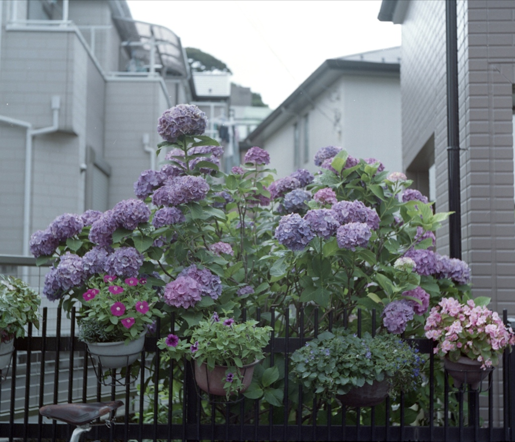 「街角flower」 (film)