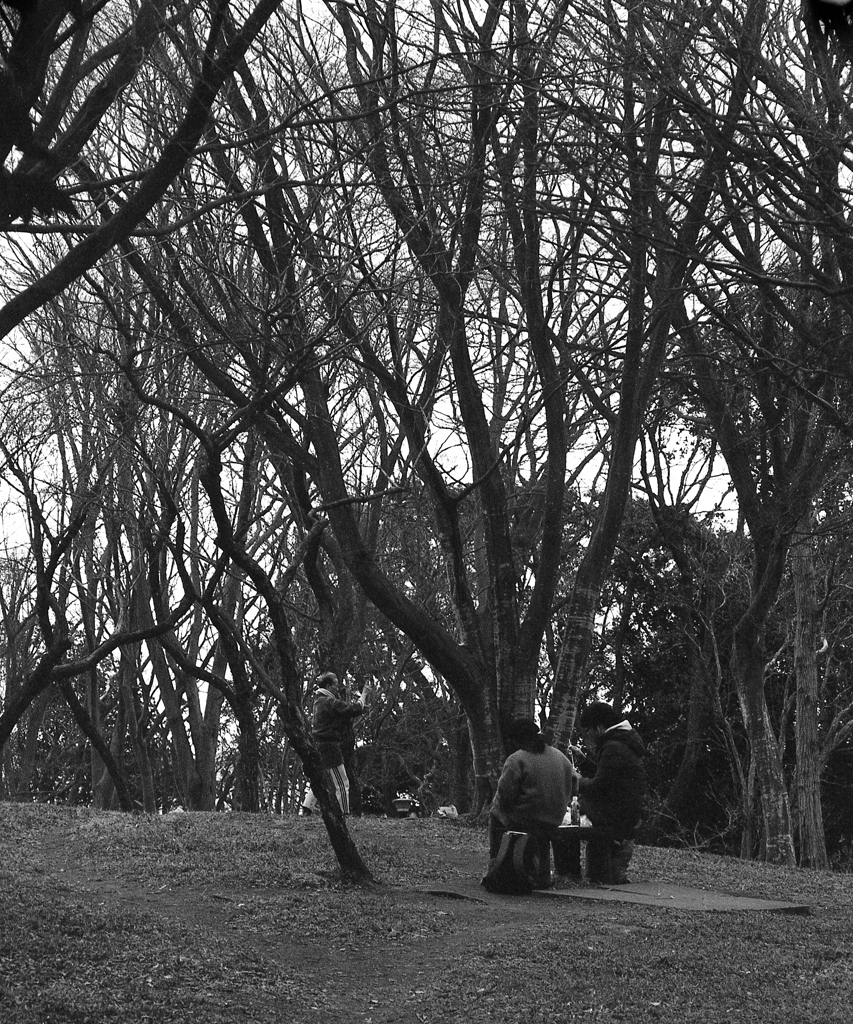 「冬の公園歩き」 (film)