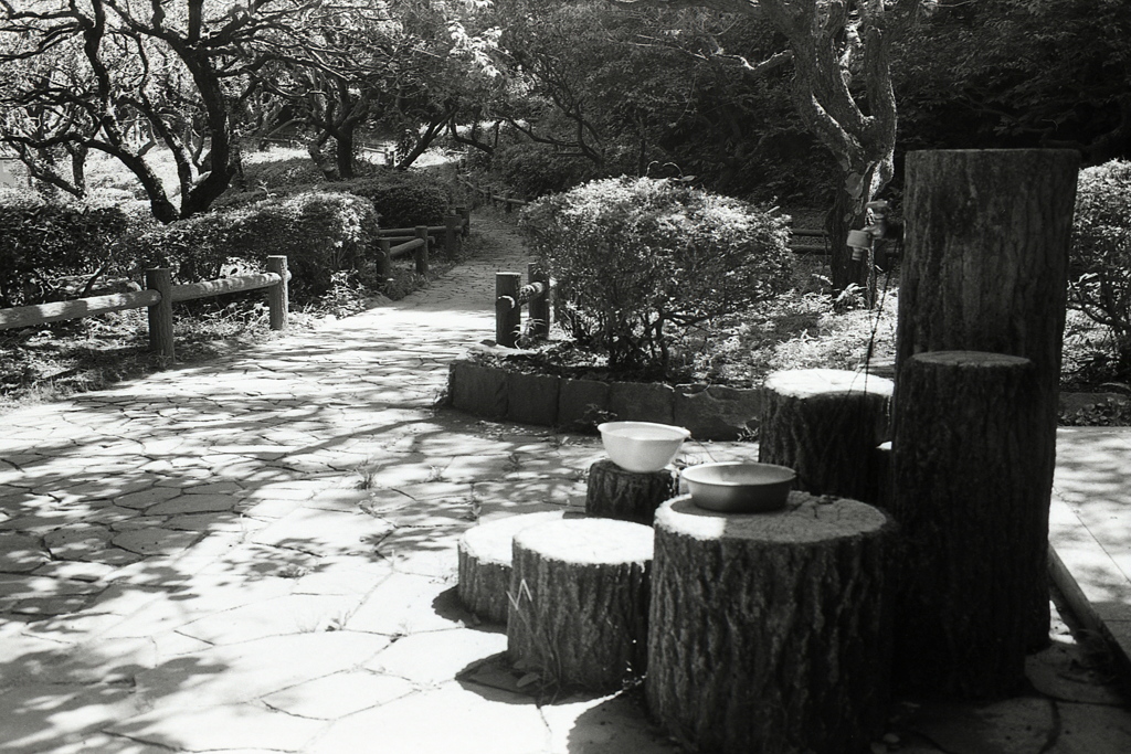 「通りすがりの者です」 (film)