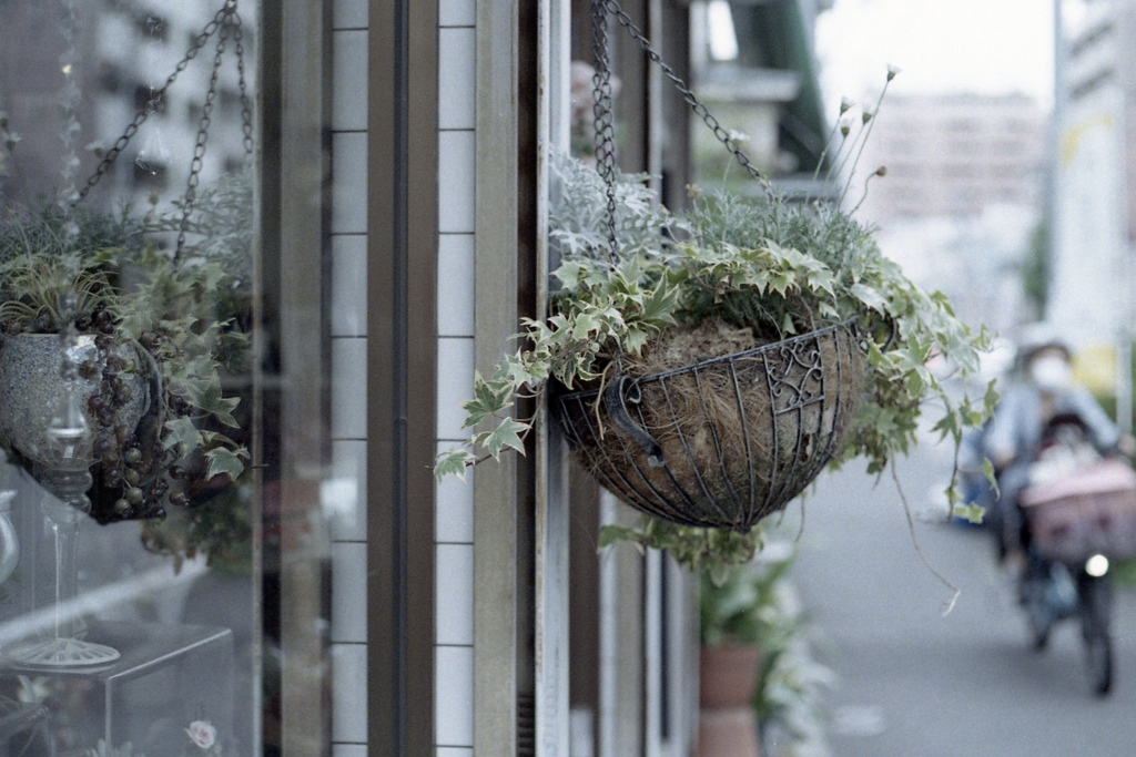 「HAMA snap」 (film)