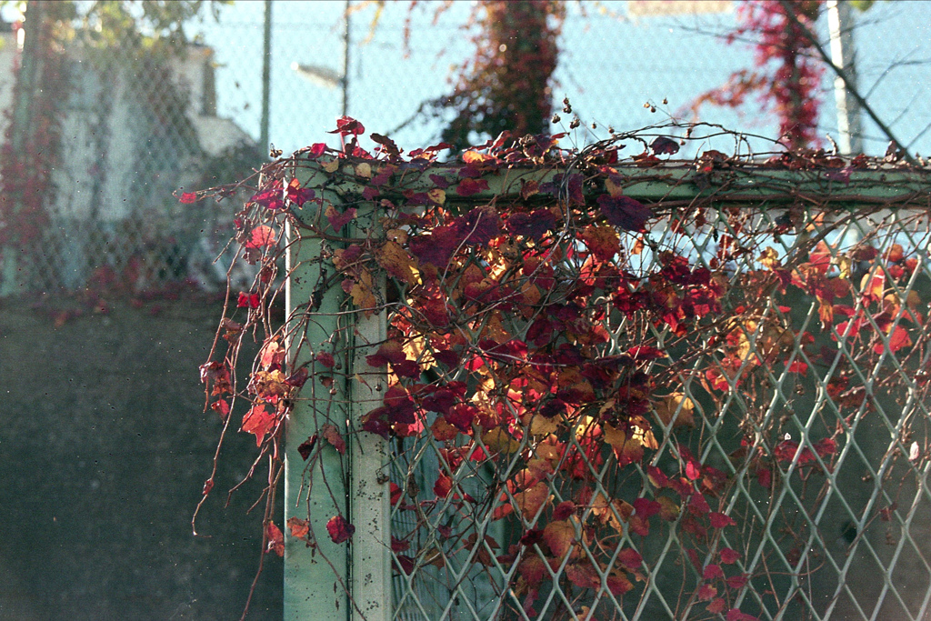 「街角」 (film)