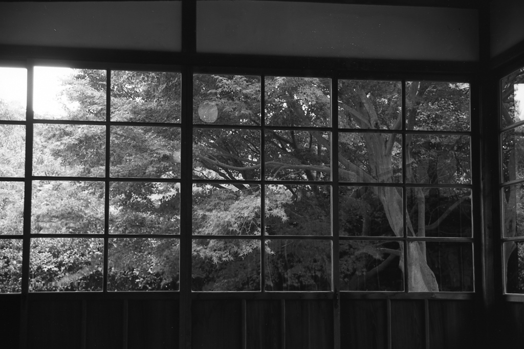 「8/11 三渓園にて」 (film:HR20)
