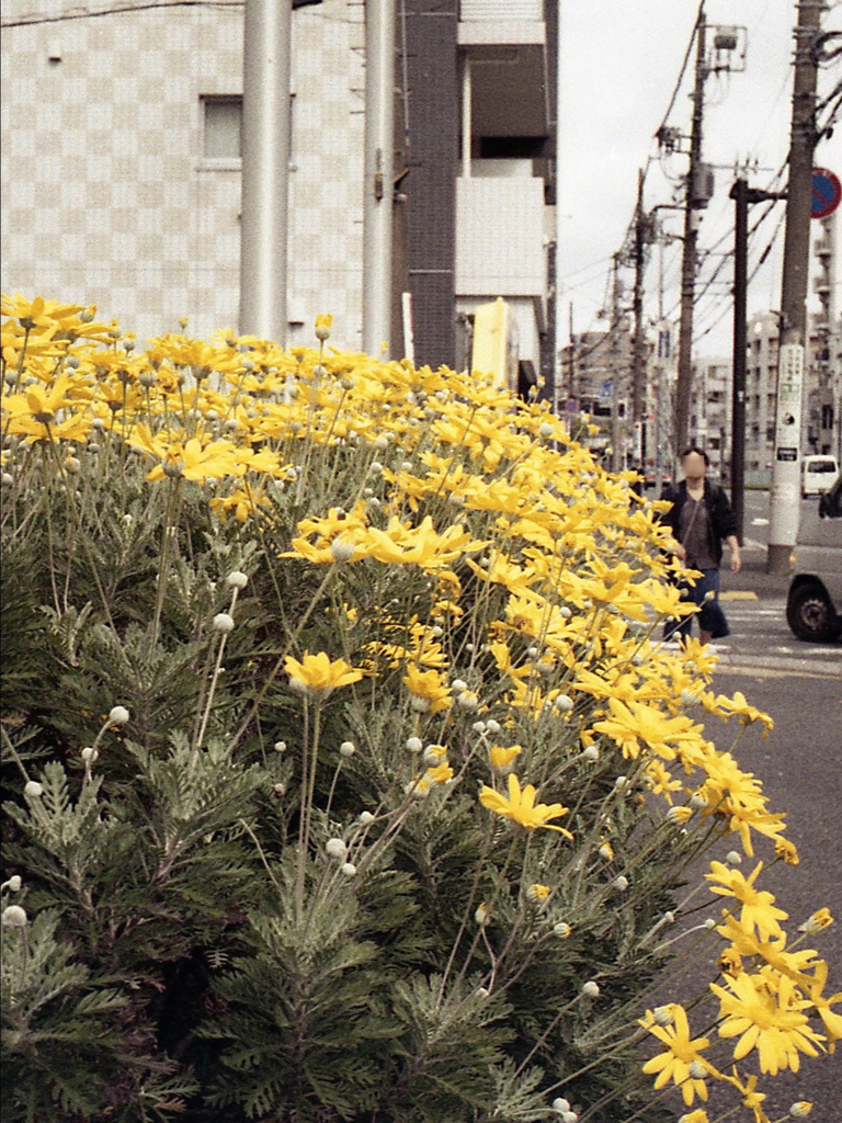 「少し前」 (film)