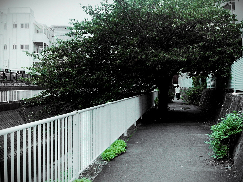 「レストア試写18」 (film)