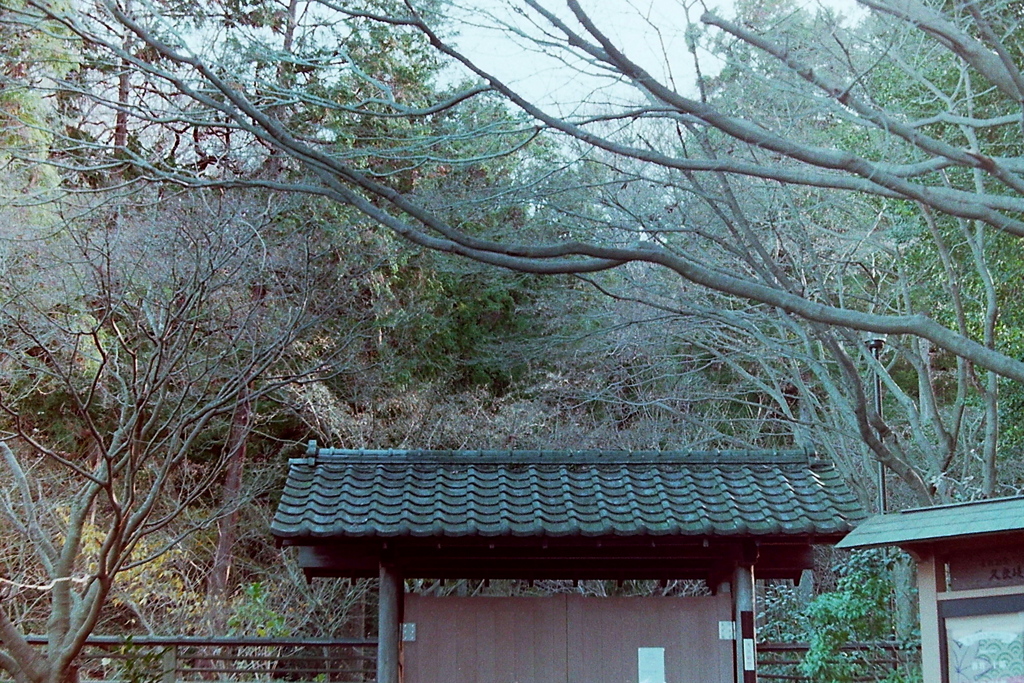「01/03 久良岐能舞台 庭」 (film)