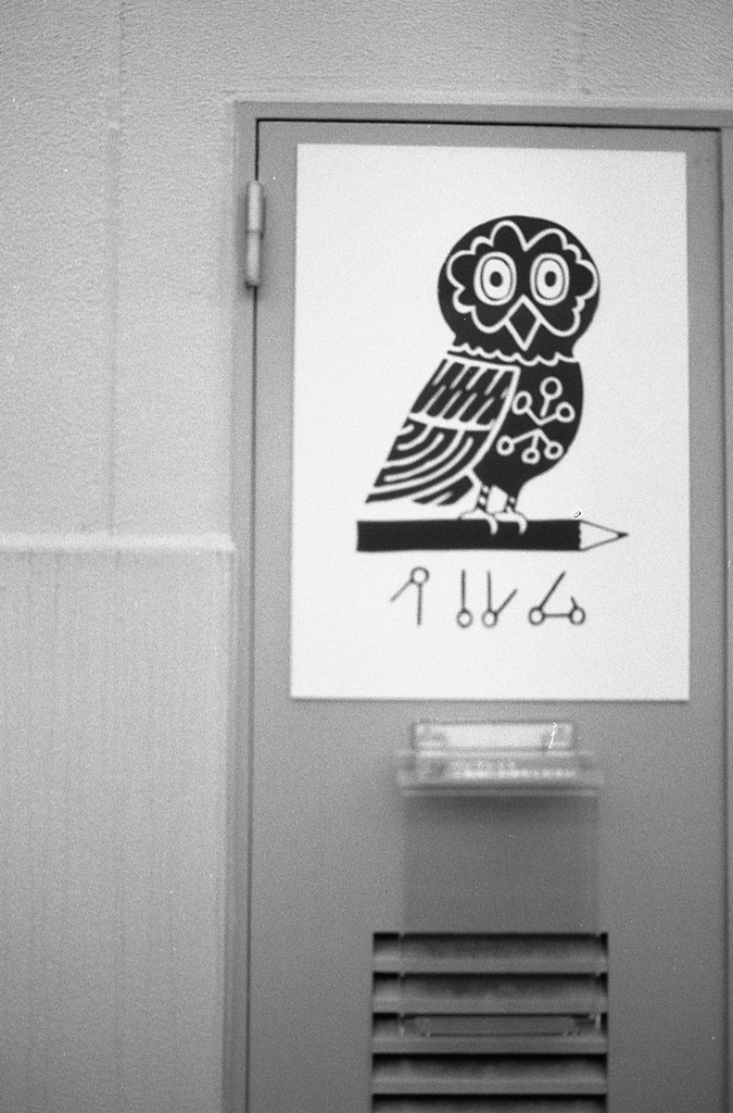 「owl」 (film)