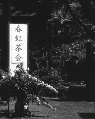 「茶会」 (film:HR20)