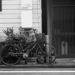 「 A Piece of LIFE」 (film)