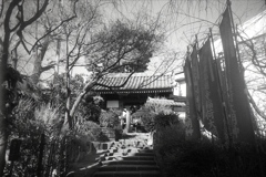 「弘明寺観音」 (film)