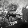 「弘明寺観音」 (film)