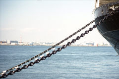 「Yokohama Seagulls」 (film)