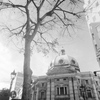 「街歩きsnap」 (film)