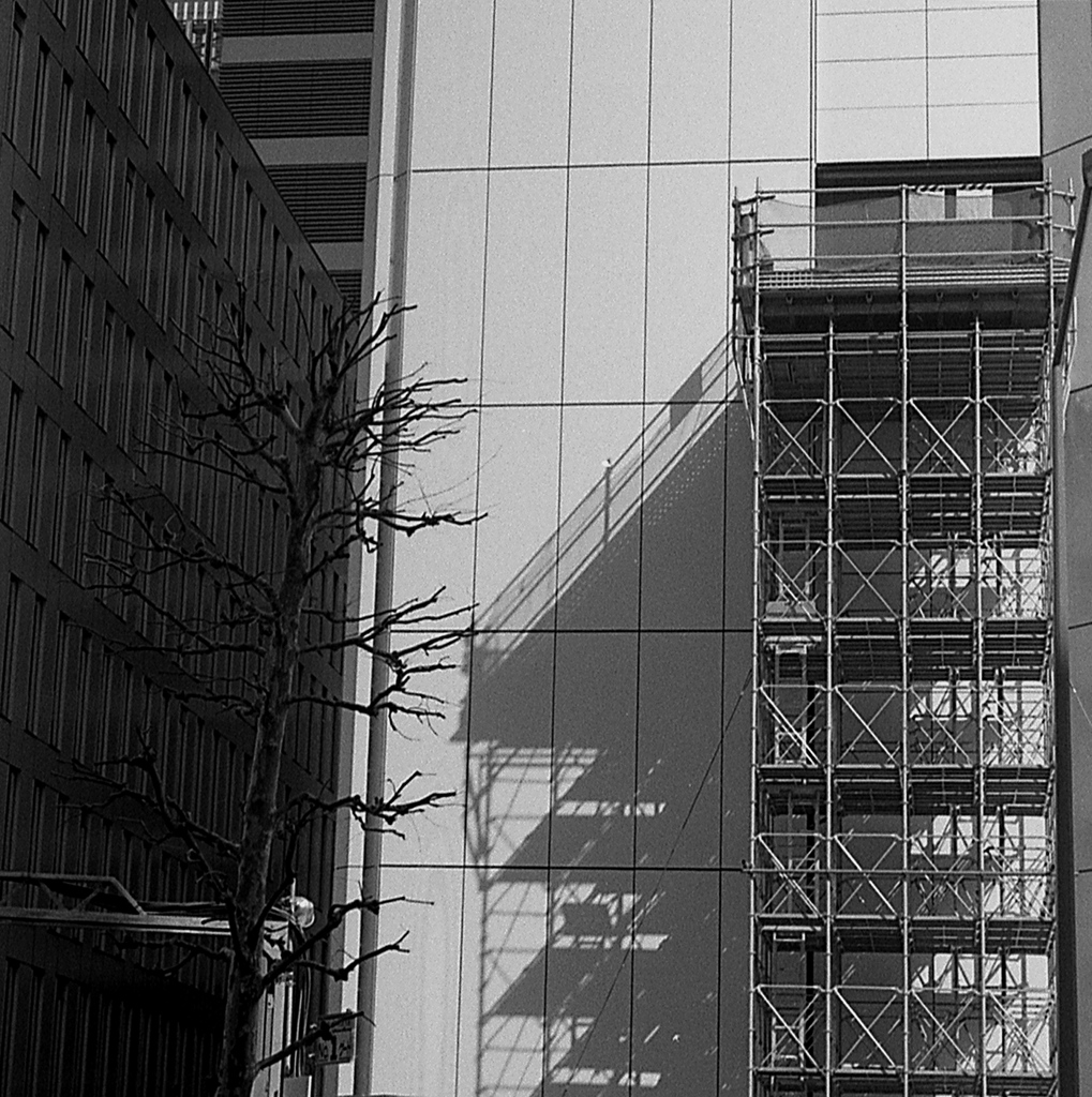 「shadow」 (film)