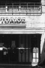 「TORIGE」 (film)