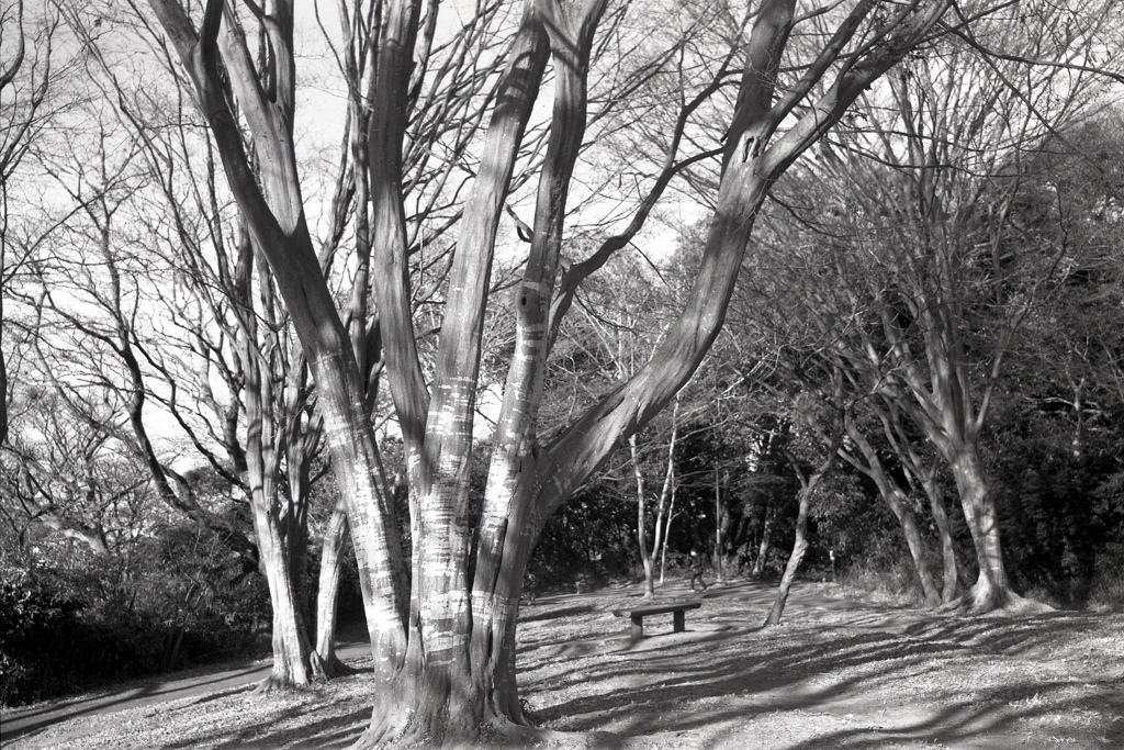 「冬公園」 (film)
