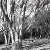 「冬公園」 (film)