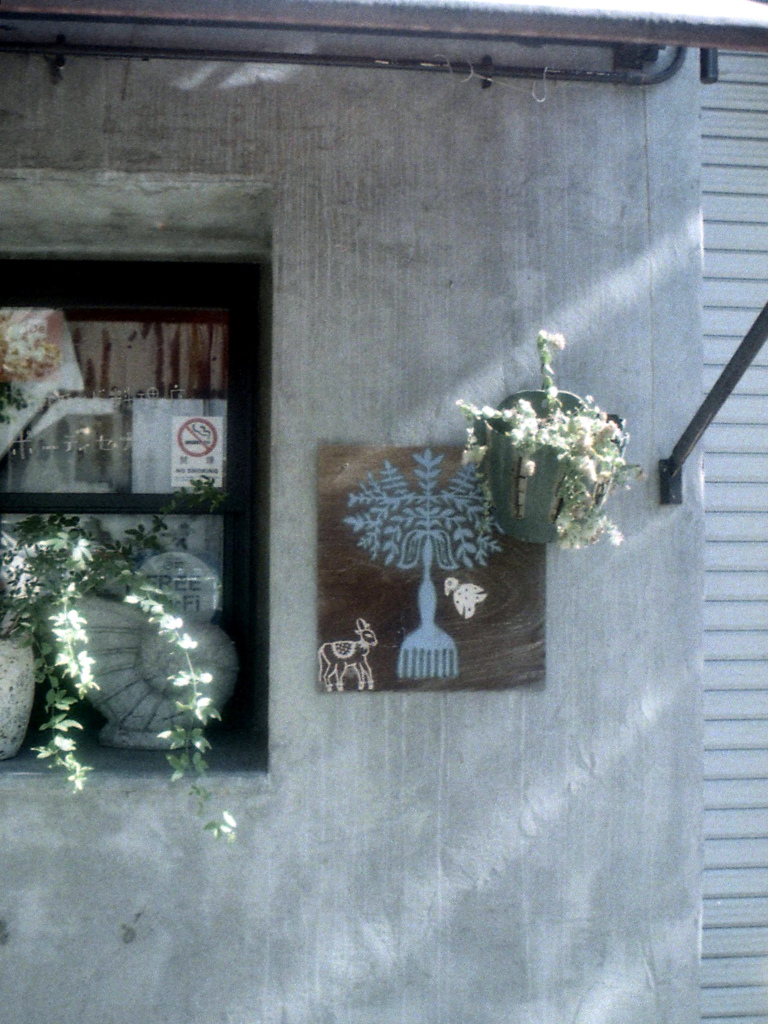 「木洩れ陽」 (film)