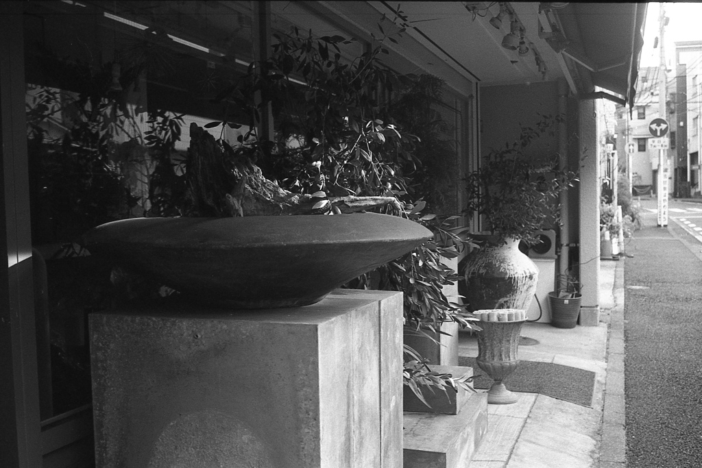 「flower shop」 (film)
