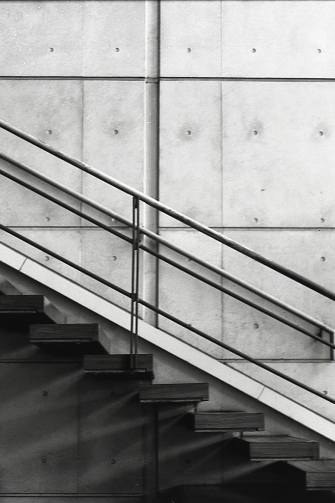 「steps」 (film:HR20)