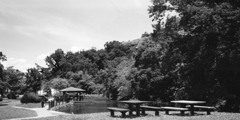 「夏公園」 (film)