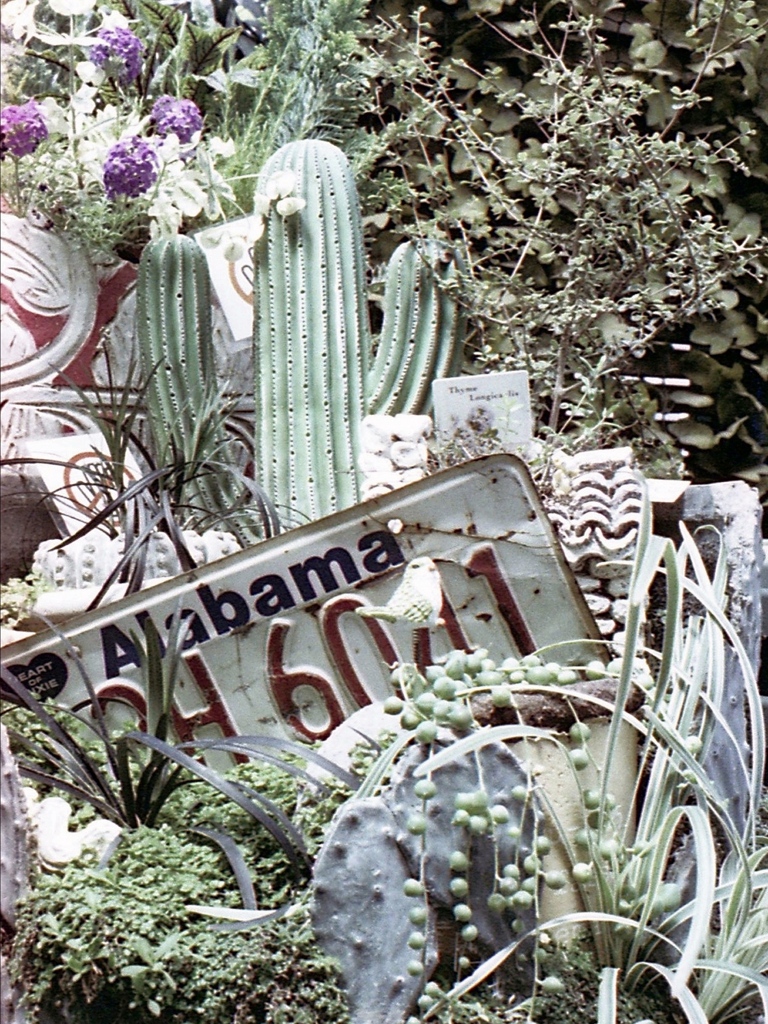 「Gardening Shop」 (film)