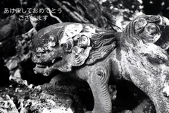 「今年もよろしくお願いいたします」 (film:HR20)