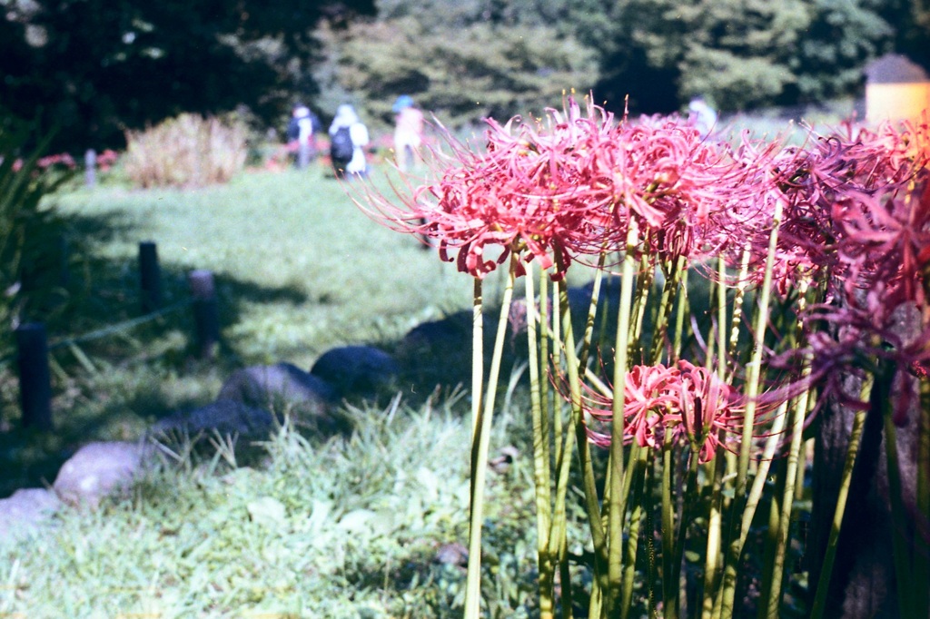 「9/20 久良岐公園」 (film)