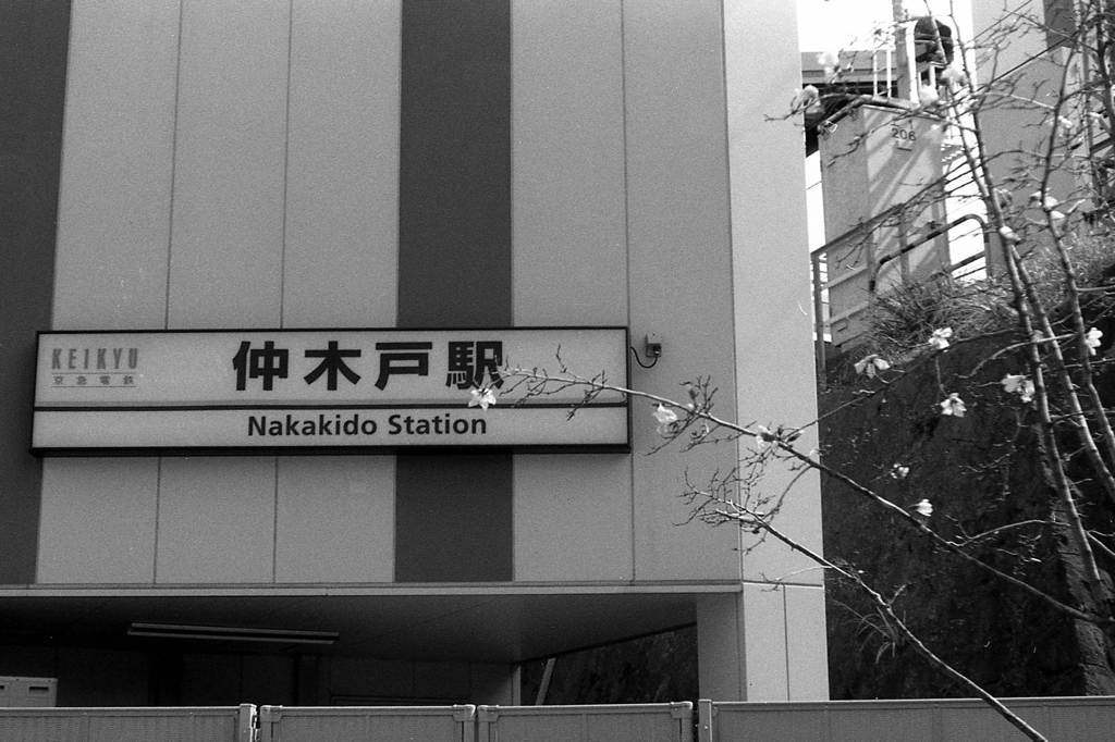 「改名前：仲木戸」 (film)