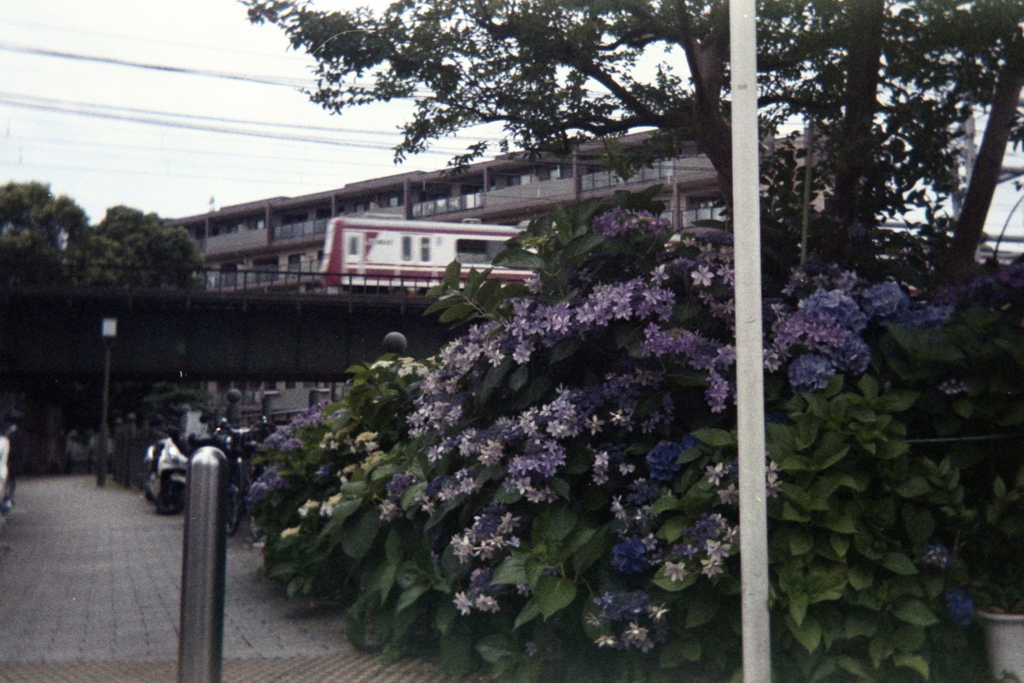 「紫陽花＆京急」 (film)