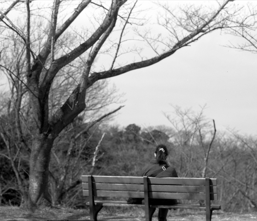 「冬公園」 (film)