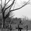 「冬公園」 (film)