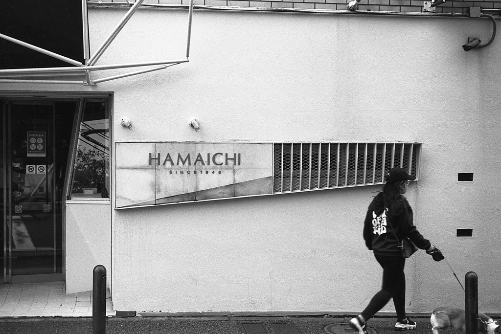 「HAMAICHI」 (film)