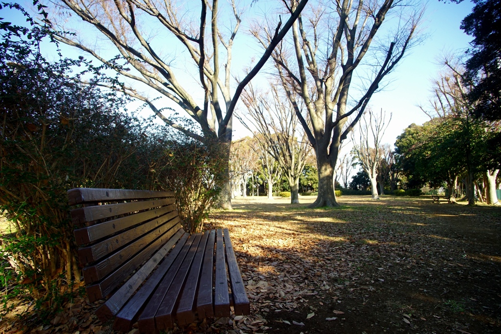 「公園歩き」 (digital)