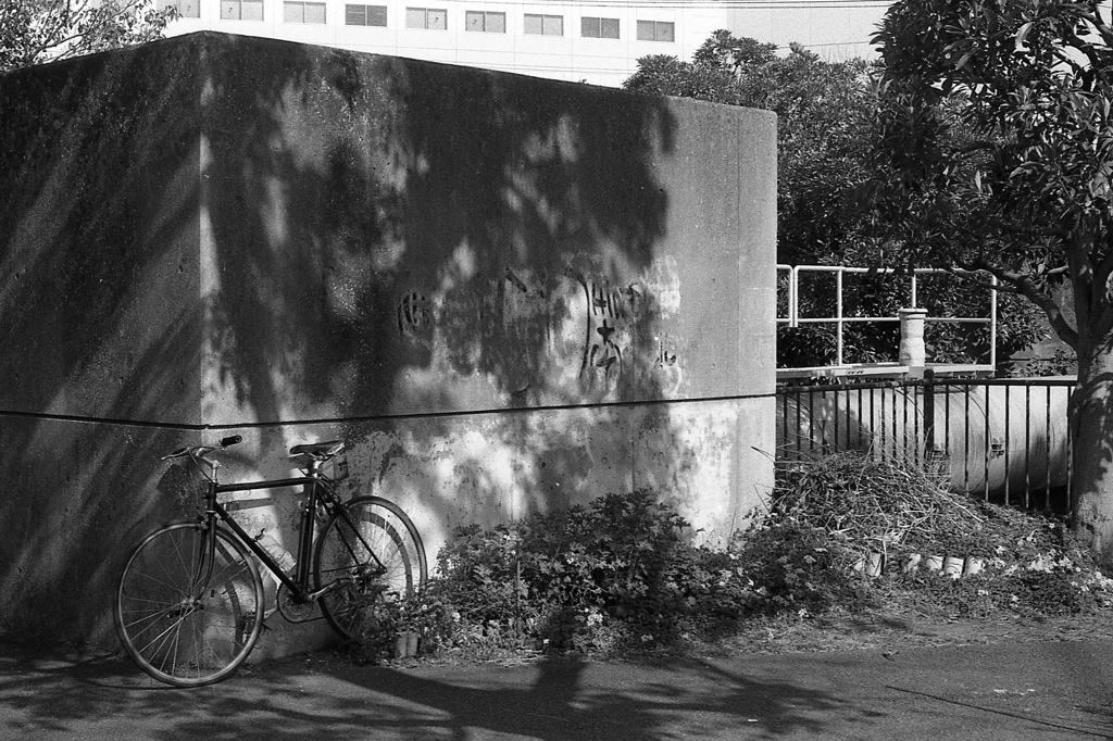 「休日も自転車移動」 (film)