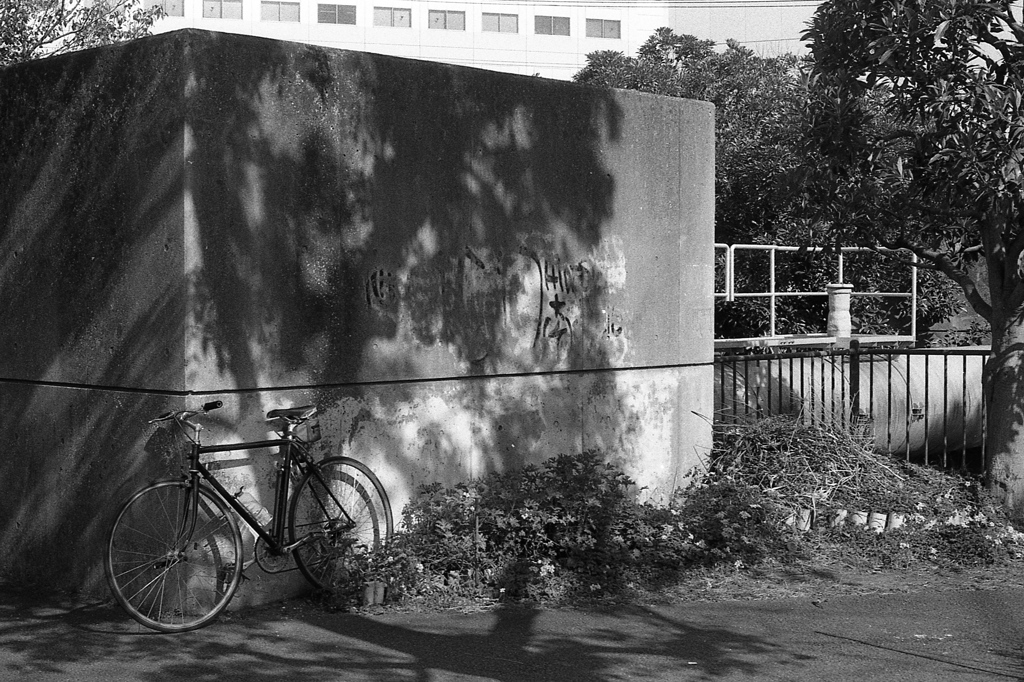 「休日も自転車移動」 (film)