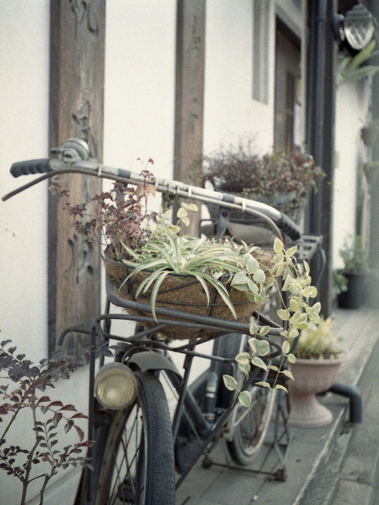 「Halfで行こう: display」 (film)