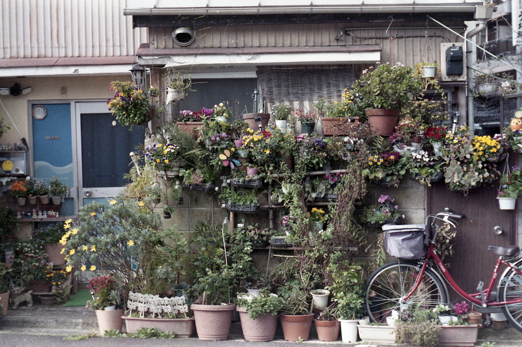 「Planter Word: 春 ⑧」 (film)
