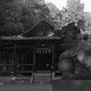 「鎮守の森」 (film)