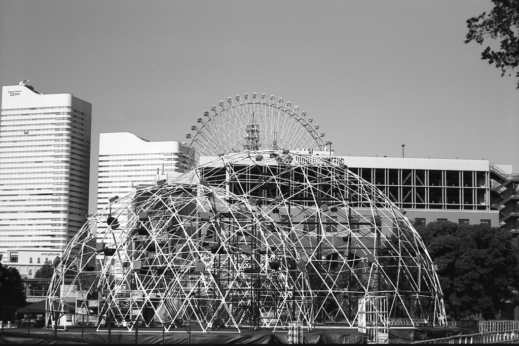 「skeleton」 (film:HR20)