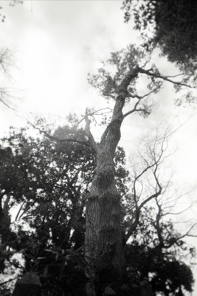 「出しそびれphoto」 (film)