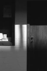 「射す光③」 (film:HR20)